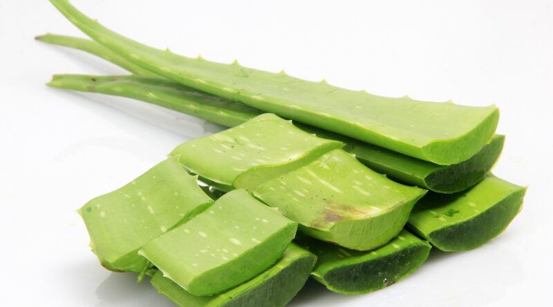 Benefits of Aloe Vera for Your Face
